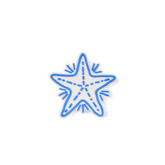 Bogg Bit - Blue Starfish